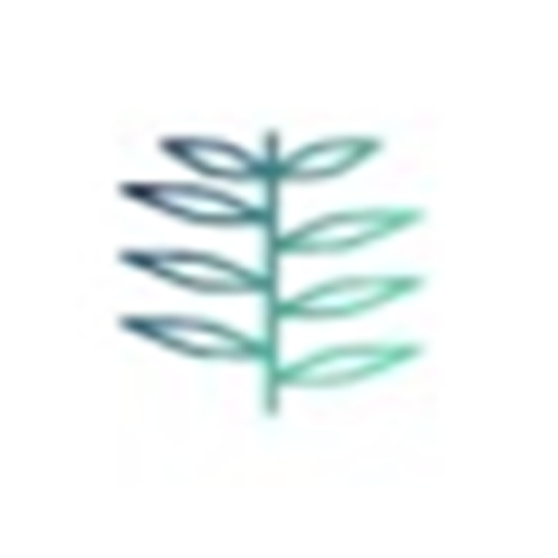Juniper Policy Consulting